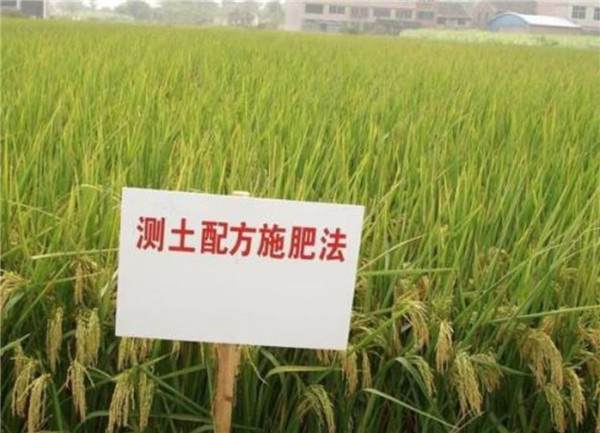 HM詳解土壤養分速測儀怎么用？