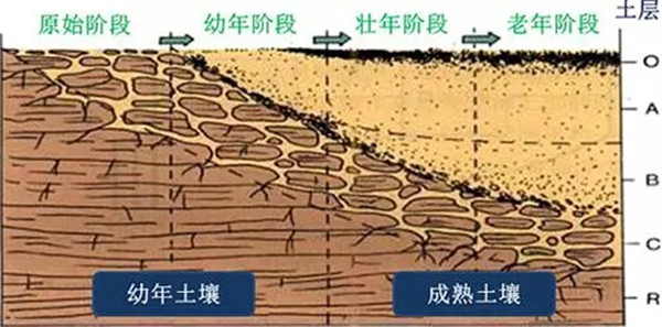 土壤養分檢測儀工作原理、技術和方法