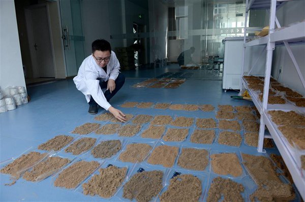 土壤酸堿度快速測量儀：多少錢及其原理、技術功能